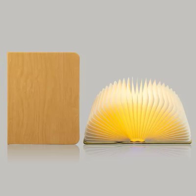 Ultra-Portable 360 degree LED Book Desk Lamp BD